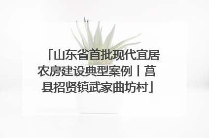 山东省首批现代宜居农房建设典型案例丨莒县招贤镇武家曲坊村
