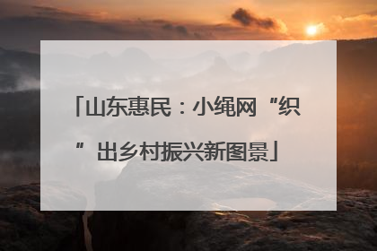 山东惠民：小绳网“织”出乡村振兴新图景