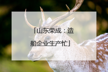 山东荣成：造船企业生产忙