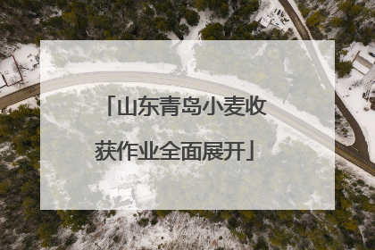 山东青岛小麦收获作业全面展开