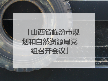 山西省临汾市规划和自然资源局党组召开会议