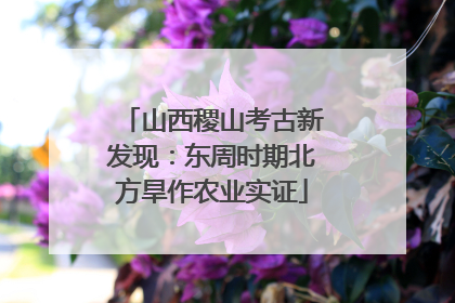山西稷山考古新发现：东周时期北方旱作农业实证