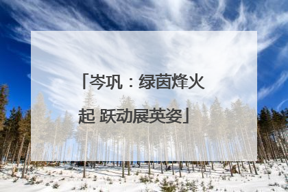 岑巩：绿茵烽火起 跃动展英姿