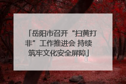 岳阳市召开“扫黄打非”工作推进会 持续筑牢文化安全屏障