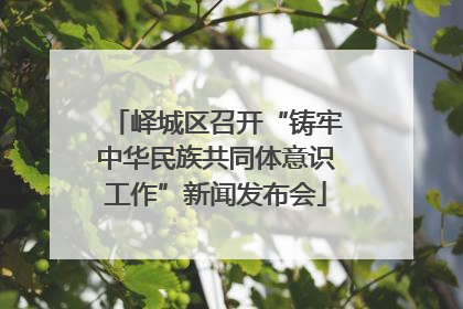 峄城区召开“铸牢中华民族共同体意识工作”新闻发布会