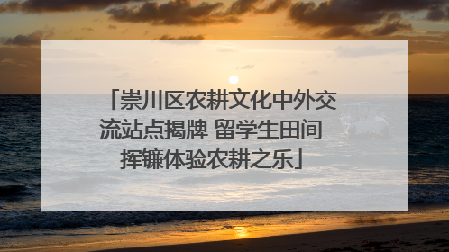 崇川区农耕文化中外交流站点揭牌 留学生田间挥镰体验农耕之乐