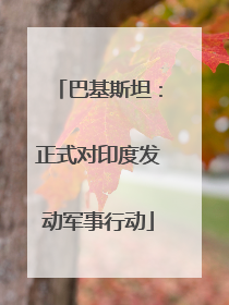 巴基斯坦：正式对印度发动军事行动