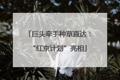 巨头牵手种草直达：“红京计划”亮相
