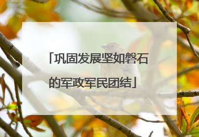 巩固发展坚如磐石的军政军民团结