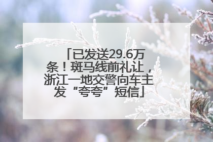 已发送29.6万条！斑马线前礼让，浙江一地交警向车主发“夸夸”短信