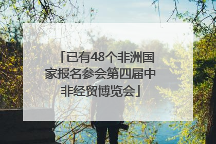 已有48个非洲国家报名参会第四届中非经贸博览会