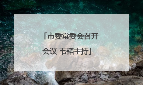 市委常委会召开会议 韦韬主持