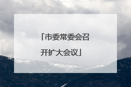 市委常委会召开扩大会议