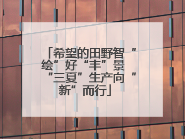 希望的田野智“绘”好“丰”景 “三夏”生产向“新”而行