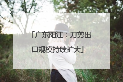 广东阳江：刀剪出口规模持续扩大