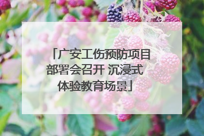 广安工伤预防项目部署会召开 沉浸式体验教育场景