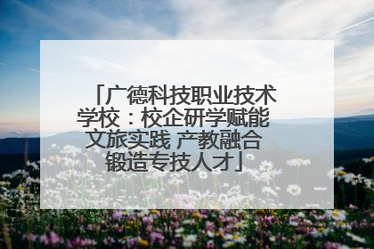 广德科技职业技术学校：校企研学赋能文旅实践 产教融合锻造专技人才