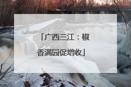 广西三江：椒香满园促增收
