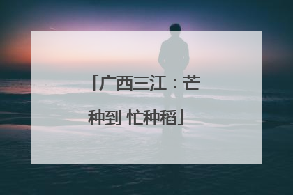 广西三江：芒种到 忙种稻