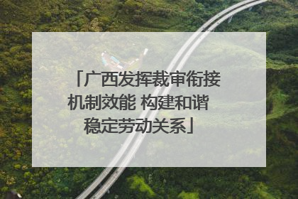 广西发挥裁审衔接机制效能 构建和谐稳定劳动关系