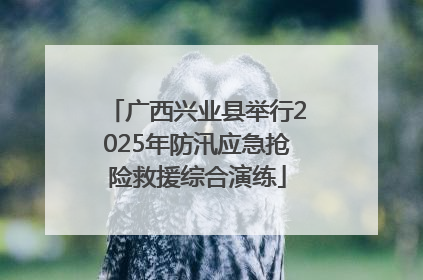 广西兴业县举行2025年防汛应急抢险救援综合演练