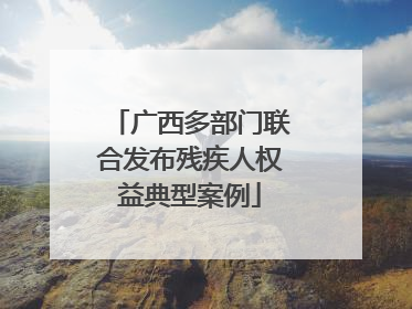 广西多部门联合发布残疾人权益典型案例