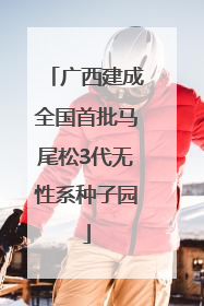 广西建成全国首批马尾松3代无性系种子园