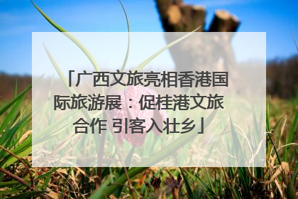 广西文旅亮相香港国际旅游展：促桂港文旅合作 引客入壮乡