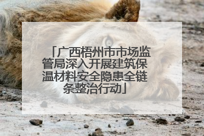 广西梧州市市场监管局深入开展建筑保温材料安全隐患全链条整治行动