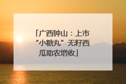 广西钟山：上市“小糖丸”无籽西瓜助农增收
