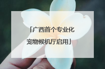 广西首个专业化宠物候机厅启用