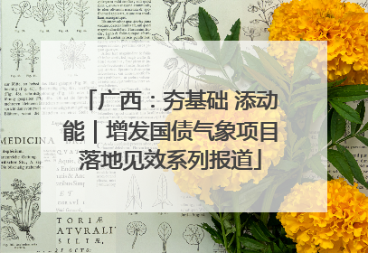 广西：夯基础 添动能｜增发国债气象项目落地见效系列报道