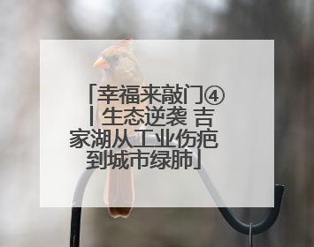 幸福来敲门④丨生态逆袭 吉家湖从工业伤疤到城市绿肺
