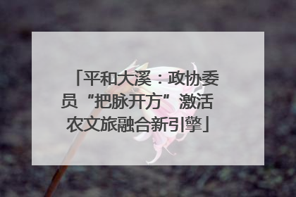 平和大溪：政协委员“把脉开方”激活农文旅融合新引擎