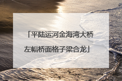 平陆运河金海湾大桥左幅桥面格子梁合龙