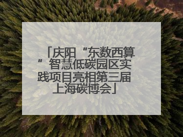 庆阳“东数西算”智慧低碳园区实践项目亮相第三届上海碳博会