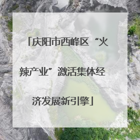 庆阳市西峰区“火辣产业”激活集体经济发展新引擎
