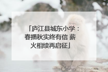 庐江县城东小学：春播秋实终有信 薪火相续再启征