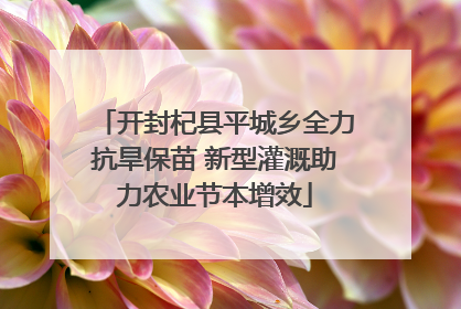 开封杞县平城乡全力抗旱保苗 新型灌溉助力农业节本增效