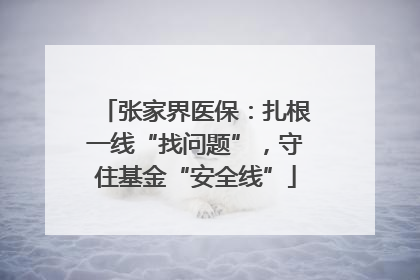 张家界医保：扎根一线“找问题”，守住基金“安全线”