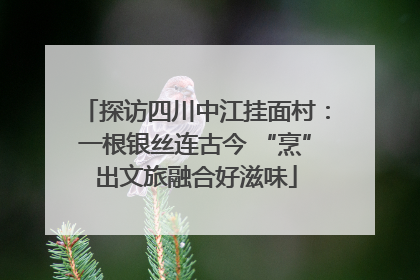 探访四川中江挂面村：一根银丝连古今 “烹”出文旅融合好滋味