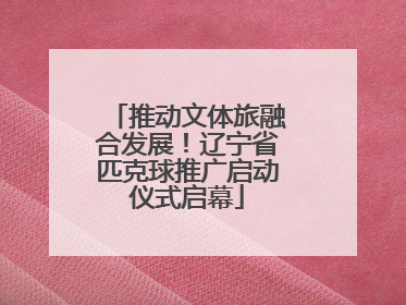 推动文体旅融合发展！辽宁省匹克球推广启动仪式启幕