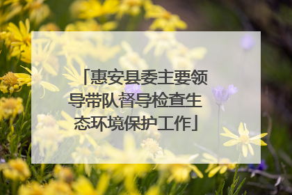 惠安县委主要领导带队督导检查生态环境保护工作