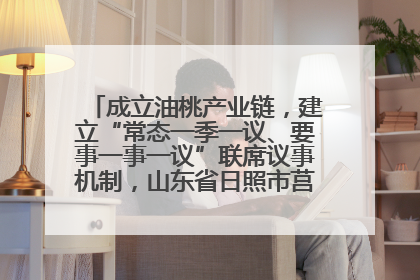 成立油桃产业链，建立“常态一季一议、要事一事一议”联席议事机制，山东省日照市莒县果庄镇——13个党小组“全周期”育果