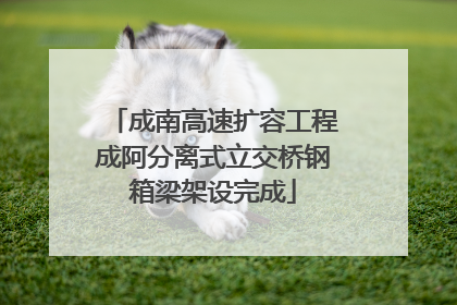 成南高速扩容工程成阿分离式立交桥钢箱梁架设完成