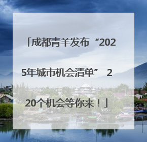 成都青羊发布“2025年城市机会清单” 220个机会等你来！