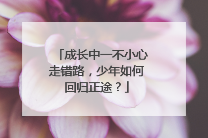 成长中一不小心走错路，少年如何回归正途？