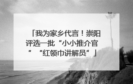 我为家乡代言！崇阳评选一批“小小推介官”“红领巾讲解员”
