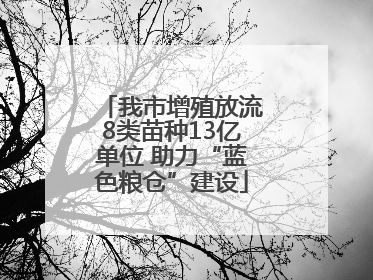 我市增殖放流8类苗种13亿单位 助力“蓝色粮仓”建设