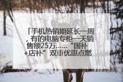 手机热销期延长一周，有的电脑专柜一天销售额25万……“国补+店补”双重优惠点燃德州“考后经济”